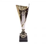 Trophée coupe avec gravure